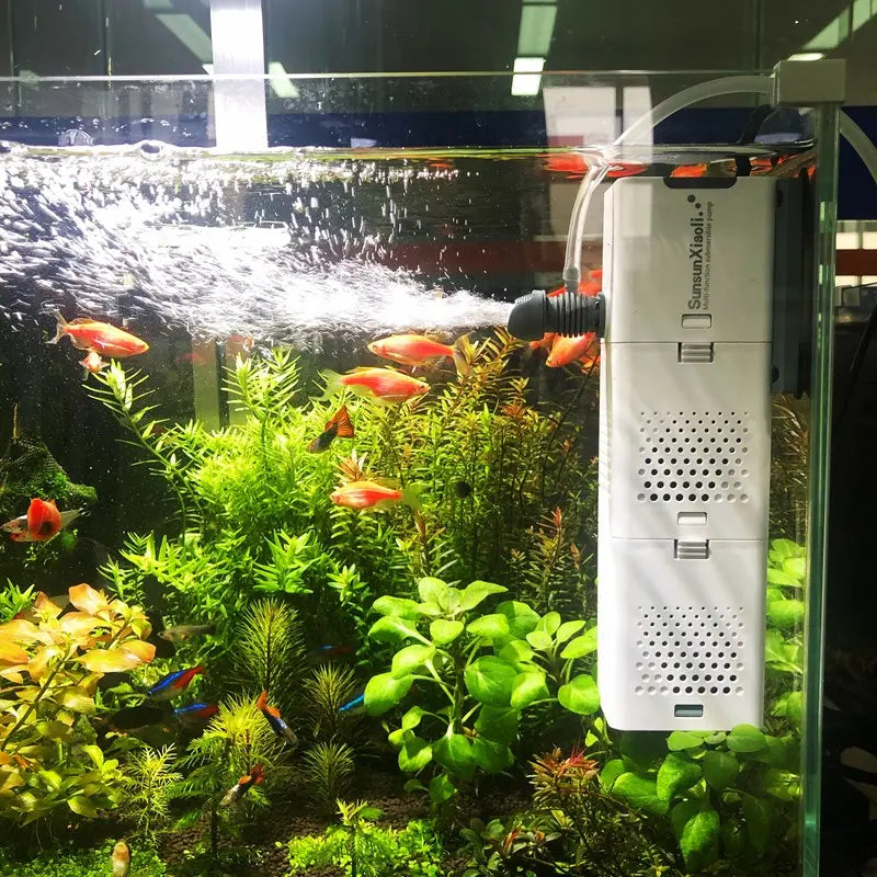 Filtre 4-en-1 pour aquarium Eau propre et environnement sain - AquaCiel