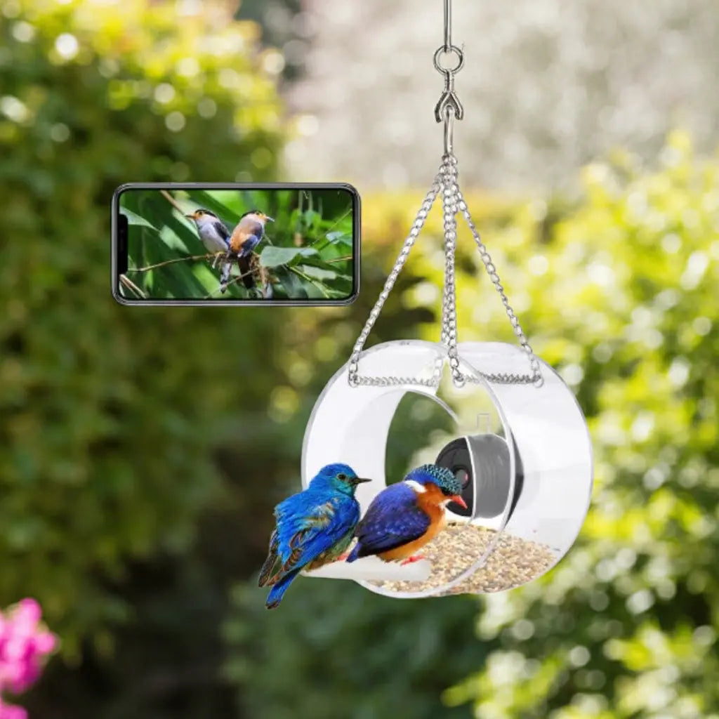 Distributeur intelligent pour oiseaux avec caméra HD – Mangeoire extérieure avec surveillance en temps réel - AquaCiel
